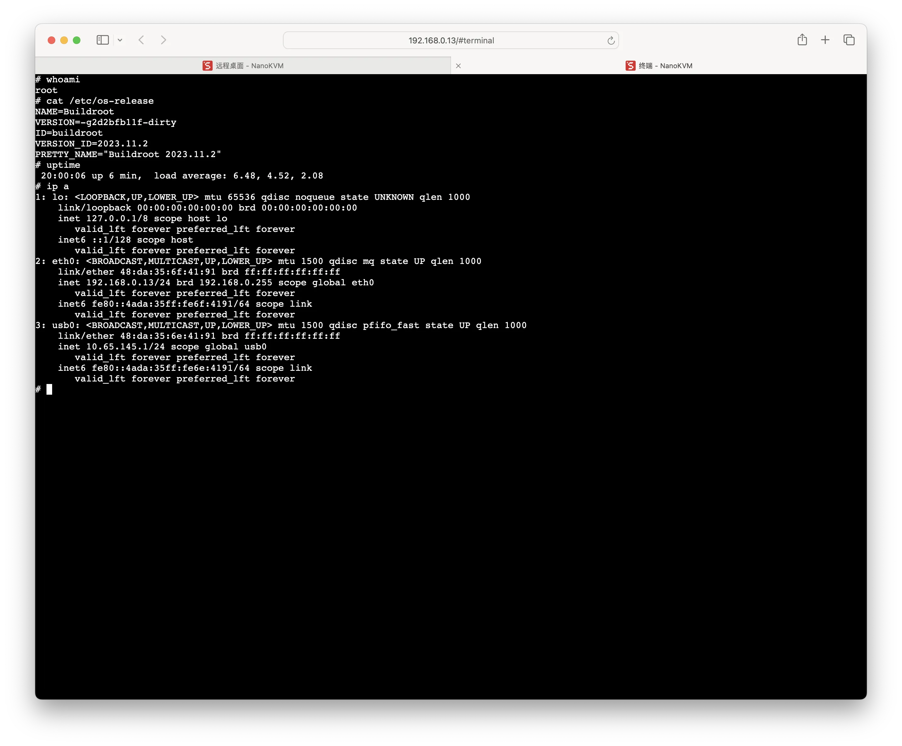 NanoKVM Web UI Terminal